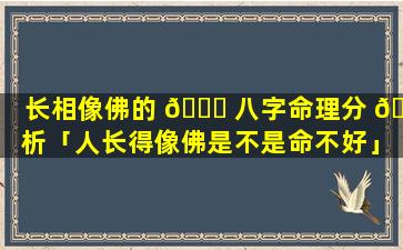 长相像佛的 🐋 八字命理分 🐟 析「人长得像佛是不是命不好」